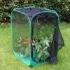 imageRESTCLOUD 36quot Large Monarch Butterfly Habitat Giant Collapsible Insect Mesh Cage Terrarium Popup 24 x 24 x 36 InchesBlack with Green