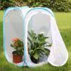 imageRESTCLOUD 36quot Large Monarch Butterfly Habitat Giant Collapsible Insect Mesh Cage Terrarium Popup 24 x 24 x 36 InchesWhite with Blue