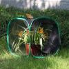 imageRESTCLOUD Insect and Butterfly Habitat Cage Terrarium Popup 236 Inches TallBlack With Green