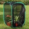 imageRESTCLOUD Insect and Butterfly Habitat Cage Terrarium Popup 236 Inches TallBlack With Green