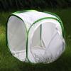 imageRESTCLOUD Insect and Butterfly Habitat Cage Terrarium Popup 236 Inches TallWhite With Green