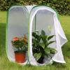 imageRESTCLOUD Insect and Butterfly Habitat Cage Terrarium Popup 236 Inches TallWhite With Green