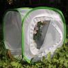 imageRESTCLOUD Insect and Butterfly Habitat Cage Terrarium Popup 24 Inches Tall with Zipper Protection12 X 12 X 12 Inches