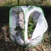 imageRESTCLOUD Insect and Butterfly Habitat Cage Terrarium Popup 24 Inches Tall with Zipper Protection157 x 157 x 24 inches