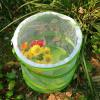 imageRESTCLOUD Popup Insect and Butterfly Habitat Cage Terrarium Clear Mesh Enclosure See Through Easier 9quot x 11quot TallPack of 1
