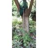 imageRESTCLOUD Professional Insect and Butterfly Net with 14quot Ring 26quot Net Depth 59quot Telescopic Handle Full Extends to 73quot Stainless Lockable73 Long  Green
