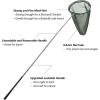 imageRESTCLOUD Professional Insect and Butterfly Net with 14quot Ring 26quot Net Depth 59quot Telescopic Handle Full Extends to 73quot Stainless Lockable73 Long  Green