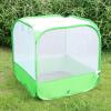 imageMesh Plant Cover for Outdoor Plant Netting Protector Garden Cover Cloche for Fruit Vegetables Strawberry Flowers and Herbs PopUp Cage with 4 Stakes White with Green 197quot x 197quot x 197quot