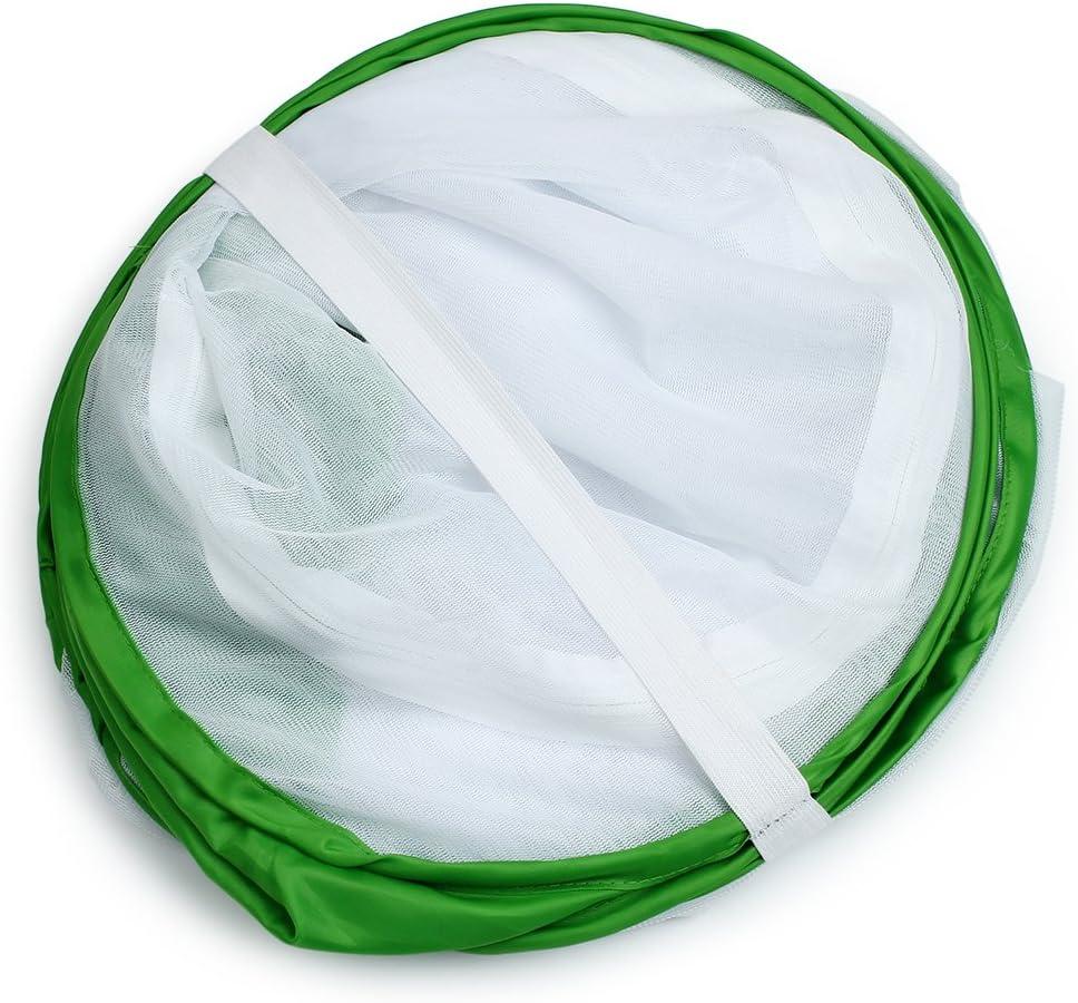 image4 Feet Extra Large Monarch Butterfly Habitat Giant Collapsible Insect Mesh Cage Terrarium Popup White  Green 28 x 28 x 48 InchesWhite  Green