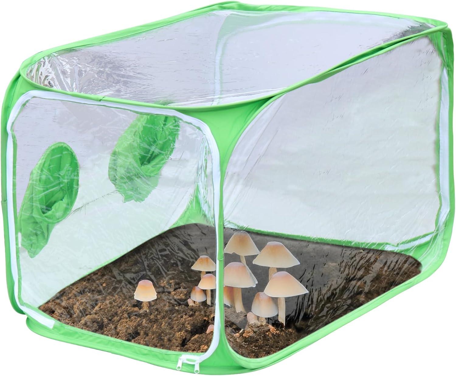 imageStill Air Grow Box Portable Mushroom Grow Tent with Hand Holes Clear PVC with Green Trim Collapsible Design 24 x 24 x 36 Inches