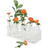image10Pcs 60ML Floral Tubes Large Flower Water Tubes for Milkweed Stem Cuttings Arrangements