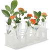 image20Pcs 60ML Floral Tubes Large Flower Water Tubes for Milkweed Stem Cuttings Arrangements