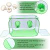 imageStill Air Grow Box Portable Mushroom Grow Tent with Hand Holes Clear PVC with Green Trim Collapsible Design 24 x 24 x 36 Inches