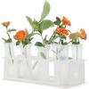 image10Pcs 60Ml Floral Tubes with Rack Holder for Milkweed Cuttings