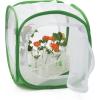 imageTwo Doors Monarch Butterfly Habitat Insect Mesh Cage Caterpillar Enclosure Terrarium Popup 12 X 12 X 12 Inches12 X 12 X 12 Inches