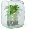 image59quot Outdoor Mesh Plant Enclosure Mesh Plant Cover for Pests Bird and Pest Protection Guard for Fruit Vegetables Flowers and Herbs PopUp Cage 35quotx35quotx59quot157 x 157 x 236 Inches