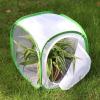 imageInsect and Butterfly Habitat Cage Terrarium Popup 12 X 12 X 12 Inches Polyester Bottom for Easier CleanGreen