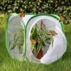 imageInsect and Butterfly Habitat Cage Terrarium Popup 12 X 12 X 12 Inches Polyester Bottom for Easier CleanGreen
