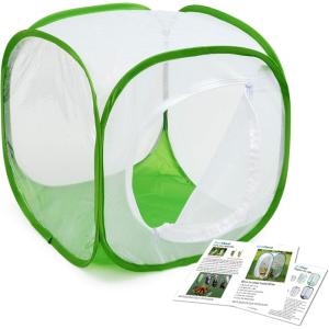 imageInsect and Butterfly Habitat Cage Terrarium Popup 12 X 12 X 12 Inches Polyester Bottom for Easier CleanGreen