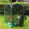 image:imageRESTCLOUD 36 Large Monarch Butterfly Habitat Giant Collapsible Insect Mesh Cage Terrarium Popup 24 x 24 x 36 InchesBlack with Green