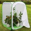 image:imageRESTCLOUD 36 Large Monarch Butterfly Habitat Giant Collapsible Insect Mesh Cage Terrarium Popup 24 x 24 x 36 InchesWhite with Green
