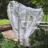 image:imageZippered Caterpillar Sleeve Milkweed Plant Netting Garden Netting Plant Covers Bird Net with Drawstring 24 inch Square Top 48 inch Drop
