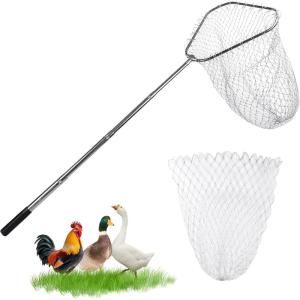 image:imageChicken Catching Net Bird Net with Telescoping Pole Strong Stainless Handle Full Extended to 48 Inches
